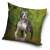 Dog pillow cover, 40x40 cm, American Staffordshire Terrier, dog lover gift