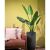 Élethű mű Strelitzia növény cserépben 120 cm 152647908