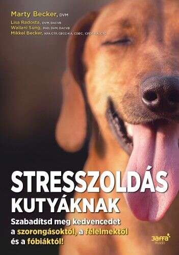 Stresszoldás kutyáknak - Szabadítsd meg a kedvencedet a szorongás...