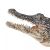 Mojo: Alligator mit beweglichem Kiefer - handbemalte Figur 43849941