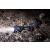 VARTA Indestructible F10 Pro LED Flashlight 43854330