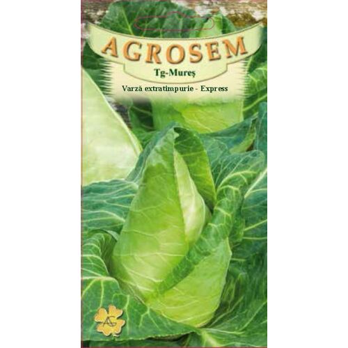 Agrosem Express extra korai káposzta magok, közeli kép - Csíramag
