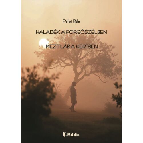 Haladék a forgószélben - Mezítláb a kertben verseskötet borítója, Pallai Béla - Irodalom és költészet könyv