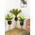 Modern virágállvány fedéllel 56 cm LOFT dekoratív környezetben