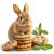 Aranyos nyúl Herbal Pets Melis rágókákkal rágcsálóknak, fogkoptató snack