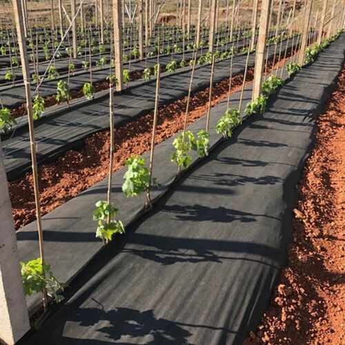Fekete Wigo-kerti agrotextília 2% UV 150g/m2 160cm 25mb 153678190 - Talajtakaró és geotextília