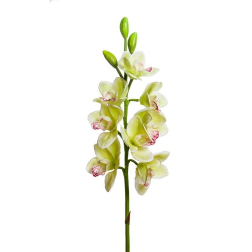 Élethű zöld-lime mű orchidea 8 virággal, 77 cm magas 