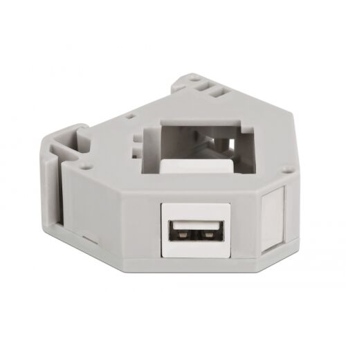 Delock 87163 Keystone Modul elölnézet USB porttal - Keystone modul