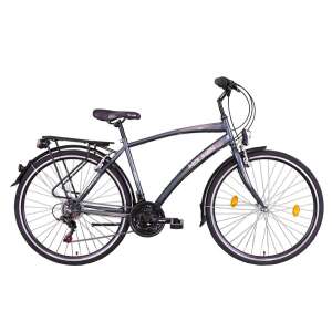 Koliken Koliken Gisu 28" urbanes Herrenrad #grey
