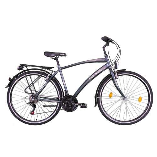 Koliken Gisu 28 Zoll Herren-Citybike in Grau