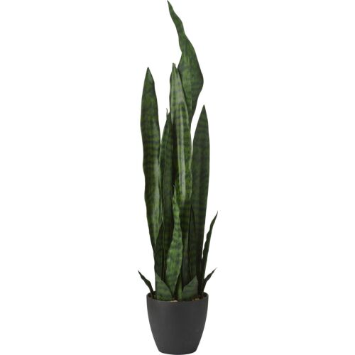 Élethű mű sansevieria szobanövény fekete kaspóban, 92 cm magas. - Műnövény és művirág