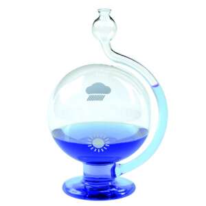 Goetheho barometer 01.29.2000