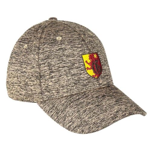 Cerda Harry Potter Griffendél baseball sapka, szürke texturált sapka Griffendél emblémával - Gyerek baseball sapka, kalap