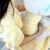 Aranyos kutya sárga Macaroon pulóverben masnival, kutya divat