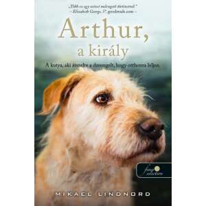 Arthur, akirály - a kutya, aki átszelte a dzsungelt, hogy otthonra leljen 46297248 