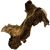 Mopani gyökér 21-30 cm 155675055