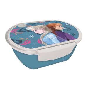 Disney Frozen lunch box with stainless steel thermal container, blue - Baby Food & Drink Container