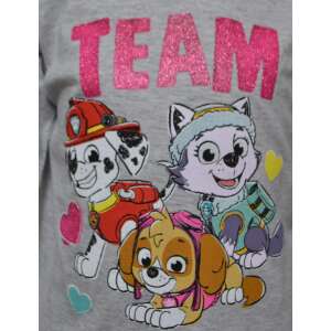 Nickelodeon Paw Patrol Skye Everest блестяща тениска с дълъг ръкав за момичета, сива с розов бляскав текст TEAM и герои от Paw Patrol - Бебе & Малко дете