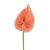 Ág - Egyetlen narancssárga mű anthurium virágszál közelről