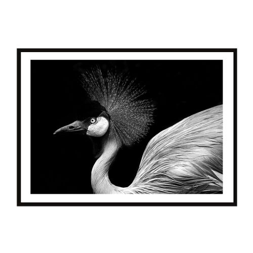 KÉPKERETES POSZTER 33x43 cm Madár P2259
