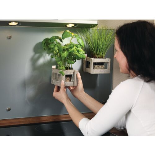 Tesa Powerstrips kis virágtartókat tart a konyhafalon - Ragasztószalag