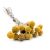 Szárított Craspedia (Craspedia Natural Extra) - Sárga - 15 darabos csokor 168675825