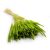 Szárított fű - Timothy (Phleum) - Világoszöld 168648483