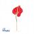 PINETS Anthurium virág kitűző márka logóval