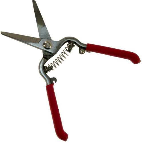 Forged pruning shears with red handles
