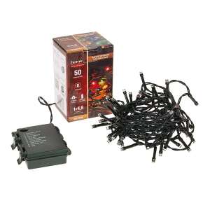 Home 50 LED-Lichterkette mit Batteriebox, 5,9 m lang, mehrfarbig - Home by Somogyi Lichterketten