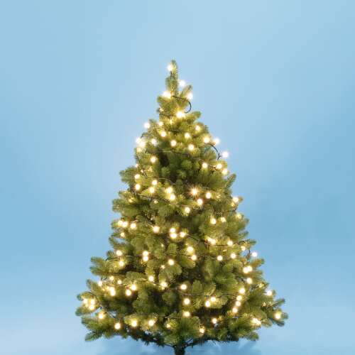 LED string lights with warm white bulbs, perfect for decorating your Christmas tree or home