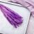 Mini Pampas Fű - Lila 168584181
