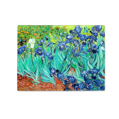 CARMANI Van Gogh Íriszek vágódeszka, tartós és könnyen tisztítható - Vágódeszka