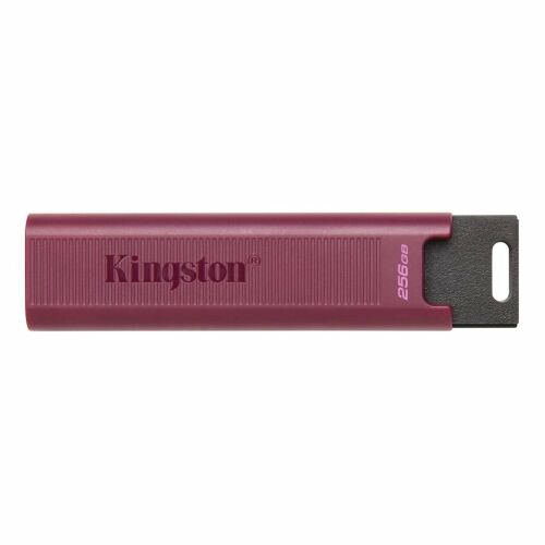 Kingston DTMAXA/256GB USB 3.2 Gen 2 USB stick