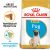 Royal Canin Mopsz kölyök 500g zsák, fajtatiszta táplálás, immun támogatás