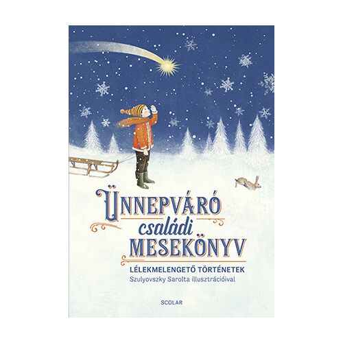 Ünnepváró családi mesekönyv borító, családi ünnepi mesekönyv illusztráció - Könyv