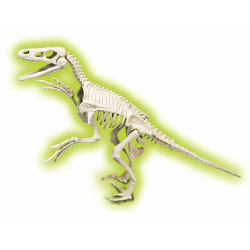 Tudományos móka kövületek - Velociraptor 172160197 - Tudományos és felfedező játék