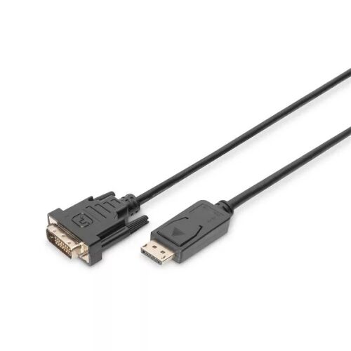 Digitus DisplayPort - DVI-D kábel ferde nézet - DisplayPort