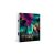 Bboldin 1000 darabos Aurora Forest puzzle doboz, kirakó északi fényekkel