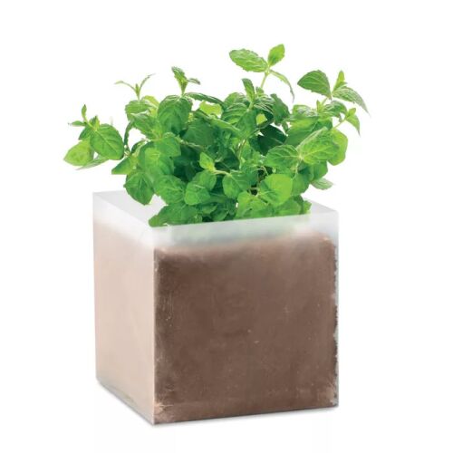Menta ültetőszett: Menta növény növekszik a mellékelt zacskóban. - Vetőmag