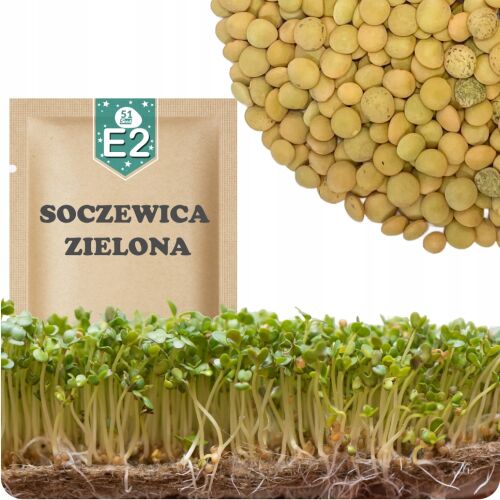 51Seed zöld lencse csíráztató magok csomagolással és csírákkal - Csíramag