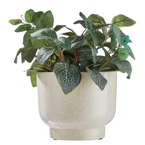 PLANT BOWL kerámia kaspó 20 cm, fehér, növénnyel - Kert