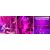 225 Oświetlenie LED do uprawy, oświetlenie do uprawy, oświetlenie do uprawy, oświetlenie do uprawy, panel LED, wiszące 80178436