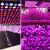 225 Oświetlenie LED do uprawy, oświetlenie do uprawy, oświetlenie do uprawy, oświetlenie do uprawy, panel LED, wiszące 80178436