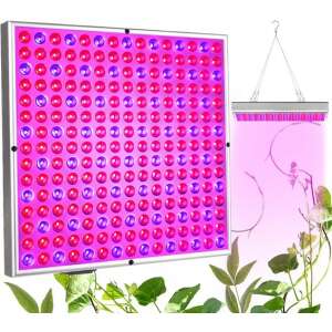 LED panel na pestovanie rastlín Gardlov s rastlinami, koláž - Pomôcky na pestovanie rastlín