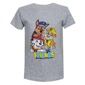 Nickelodeon Paw Patrol T-Shirt mit kurzen Ärmeln für Jungen, grau mit Paw Patrol-Charakteren - Babys & Toddler