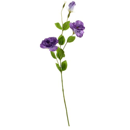 Egyetlen lila Viridis Eustoma művirág szár fehér háttérrel - Műnövény és művirág
