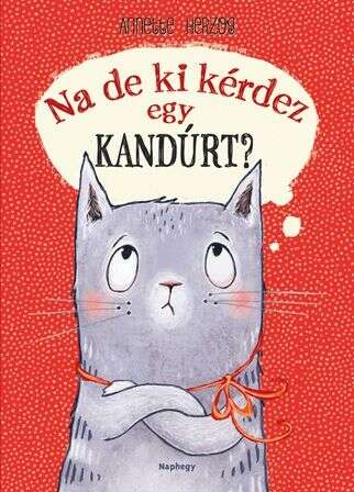 Na de ki kérdez egy kandúrt?