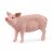 Schleich Domestic Pig Toy Figure - Realistic Farm Animal Model