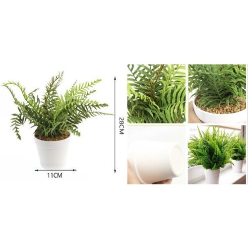 MŰNÖVÉNY CSEREPES 11X28CM mű cserepes páfrány növény részletes levélszerkezettel, méretekkel fehér háttér előtt, kiemelve realisztikus megjelenését és dekoratív sokoldalúságát - Műnövény és művirág